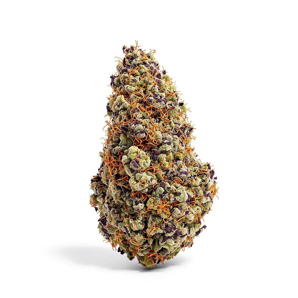 Tangerine Dream 79% indica / 21% sativa — flor con tricomas visibles