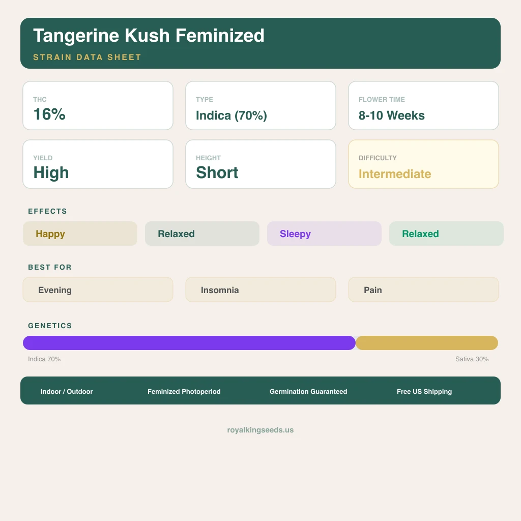 Tangerine Kush 70% indica / 30% sativa — flor con tricomas visibles