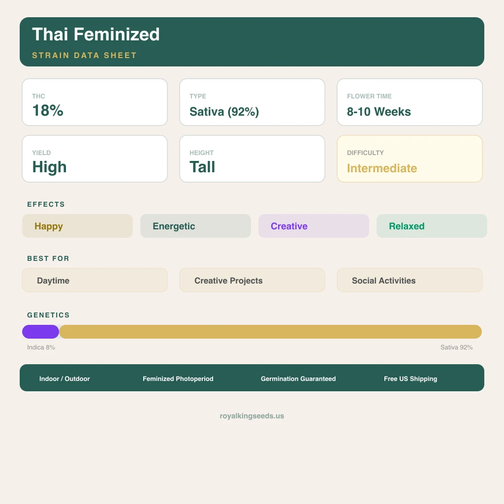 Thai 8% indica / 92% sativa — flor con tricomas visibles