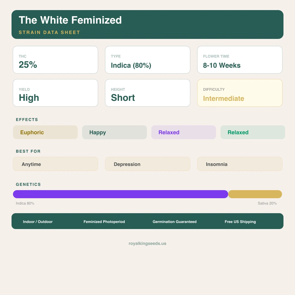 The White 80% indica / 20% sativa — flor con tricomas visibles