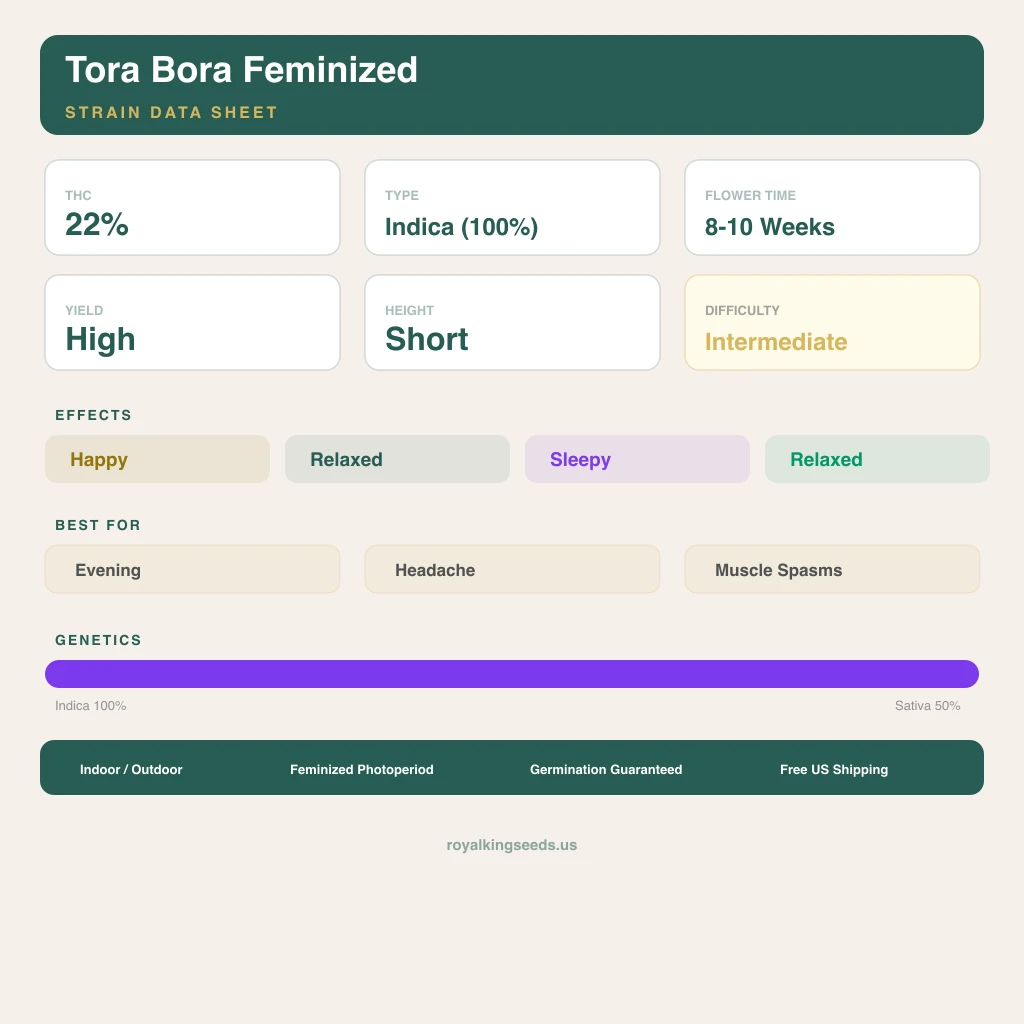 Tora Bora 100% indica / 50% sativa — flor con tricomas visibles