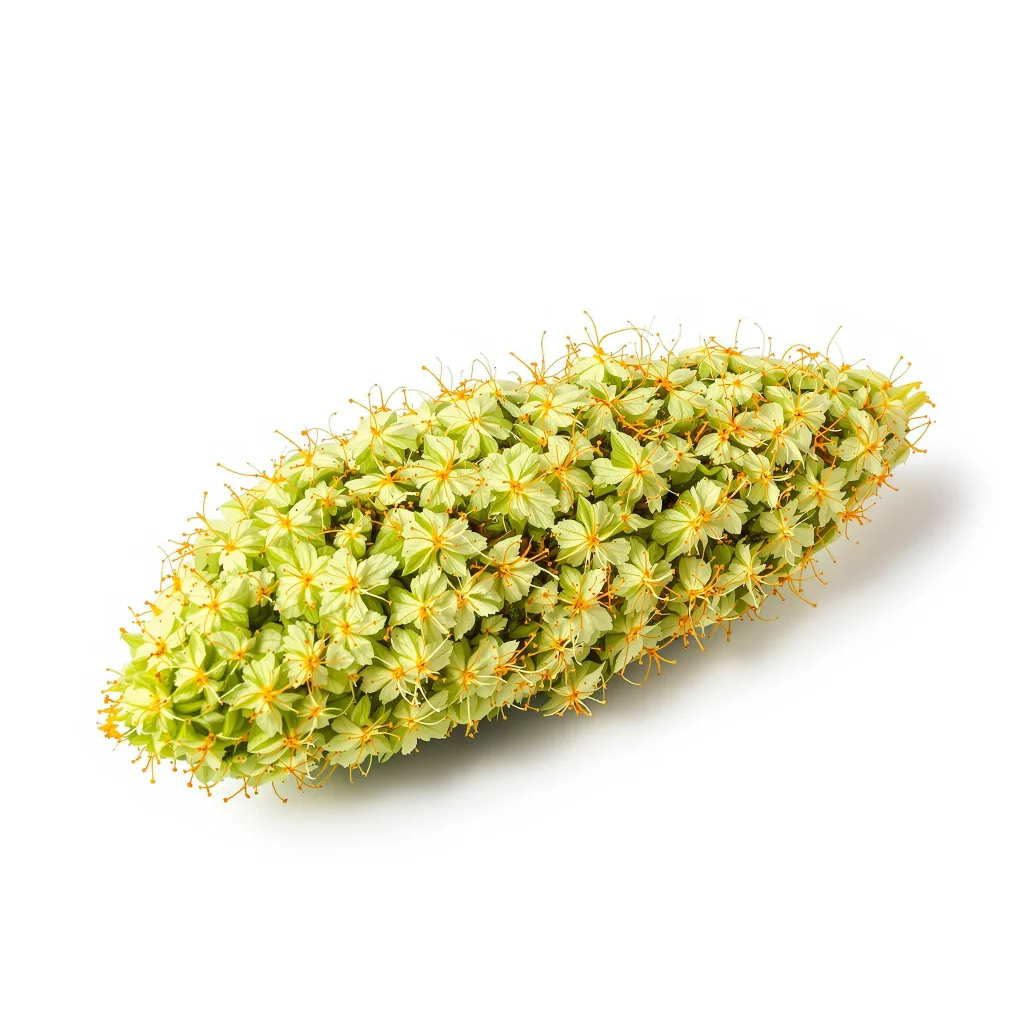 Tropic Thunder 15% indica / 85% sativa — flor con tricomas visibles