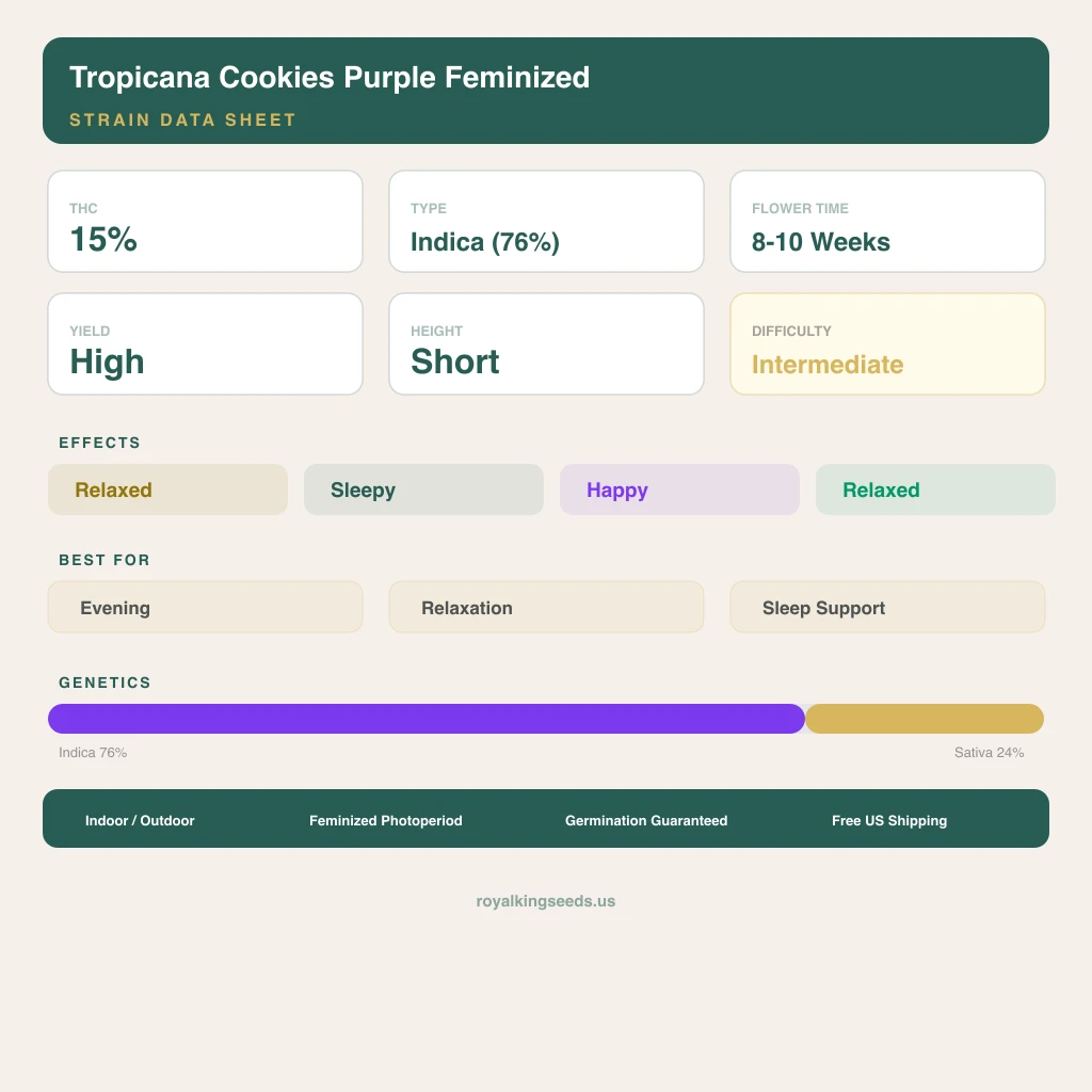 Tropicana Cookies Purple 76% indica / 24% sativa — flor con tricomas visibles
