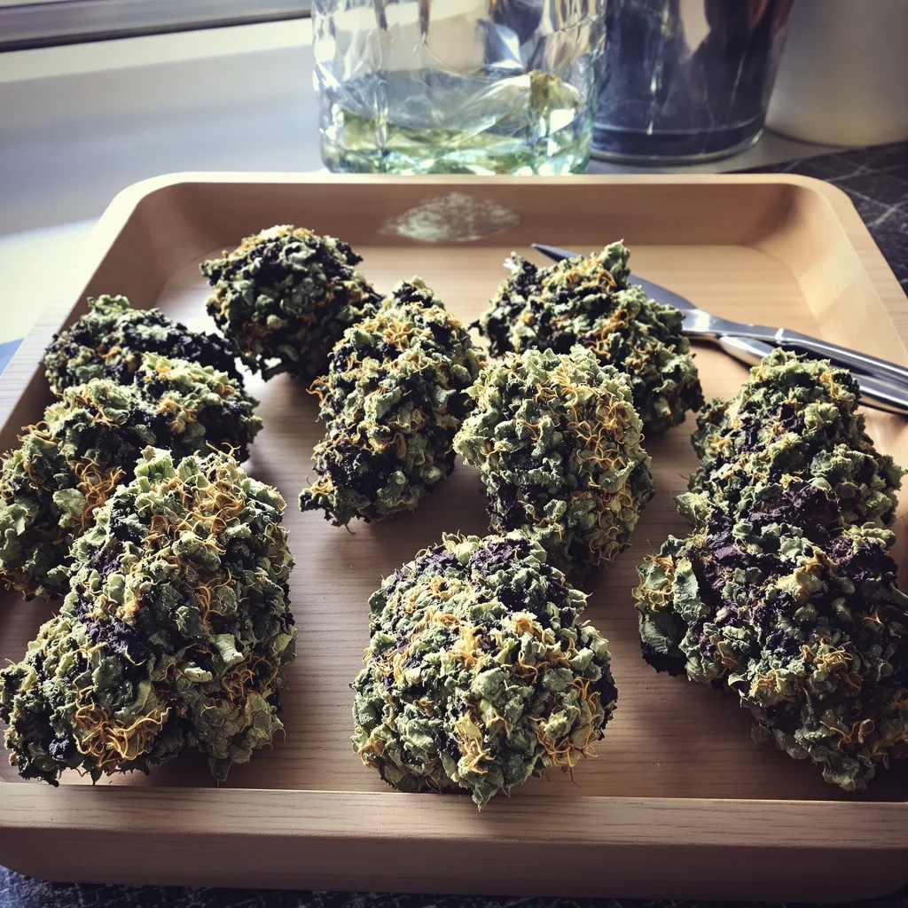 U2 Kush 88% indica / 12% sativa — flor con tricomas visibles