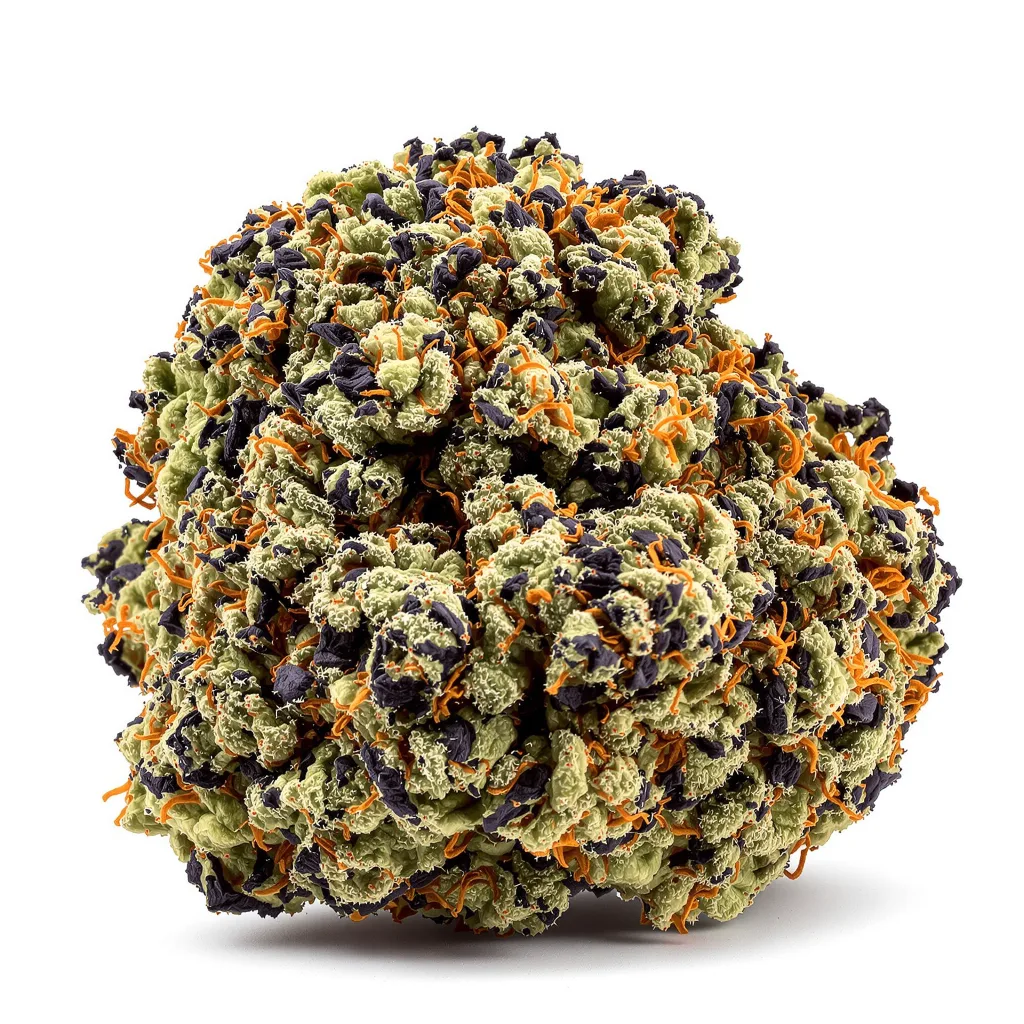 Watermelon 80% indica / 20% sativa — flor con tricomas visibles