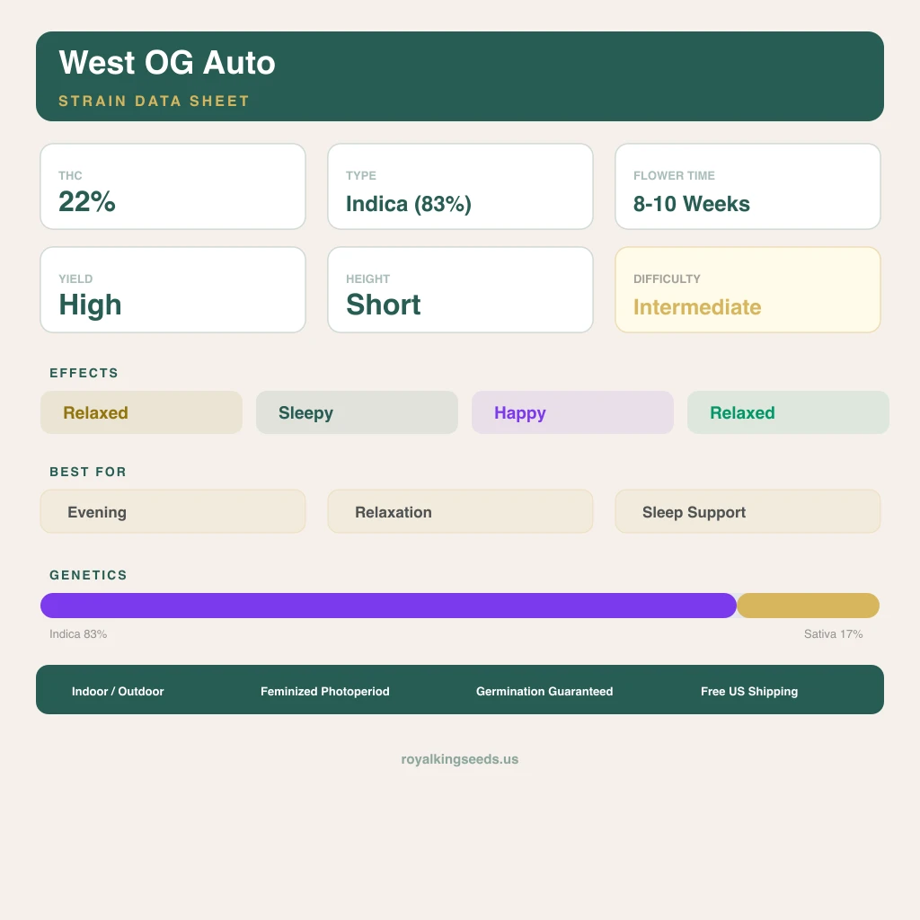 West OG 83% indica / 17% sativa — flor con tricomas visibles