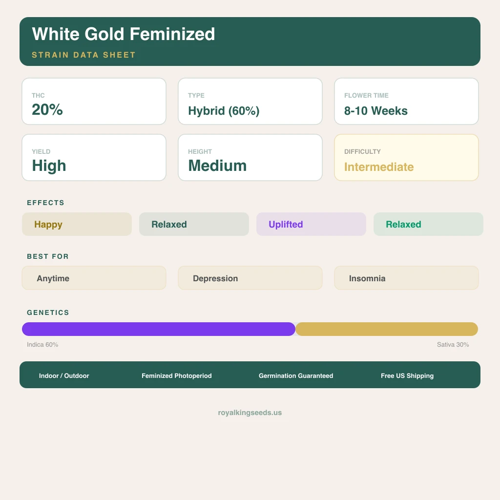 White Gold 60% indica / 30% sativa — flor con tricomas visibles