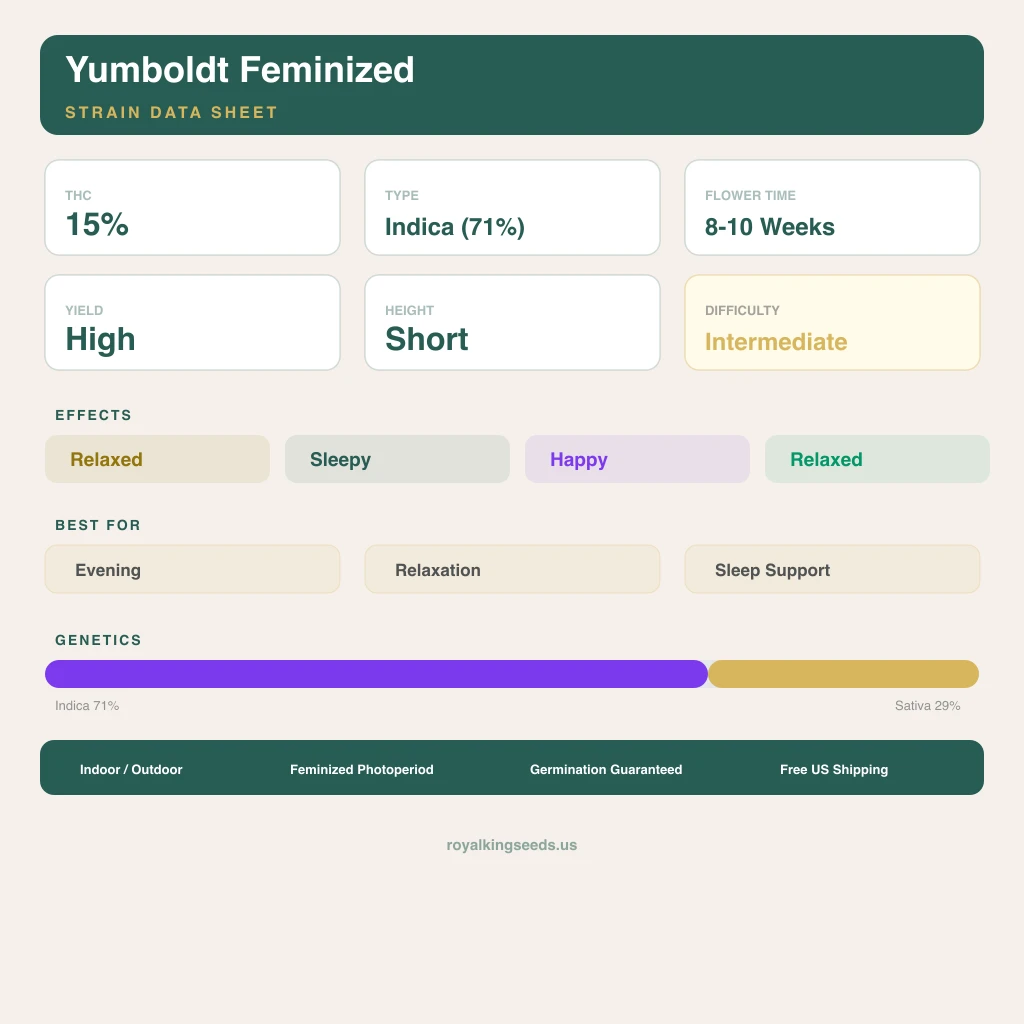 Yumboldt 71% indica / 29% sativa — flor con tricomas visibles